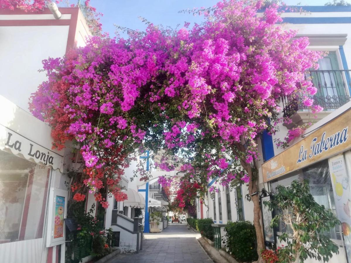 Pension Playa Puerto De Mogan Ngoại thất bức ảnh